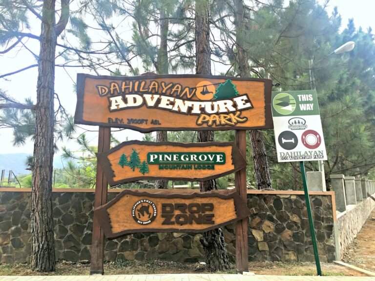 Dahilayan Adventure Park 7 768x576